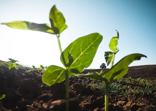 Progetto Diderot: salvare il suolo o le proprie tasche